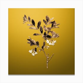 Gold Botanical White Honeysuckle Plant on Mango Yellow n.2573 Canvas Print