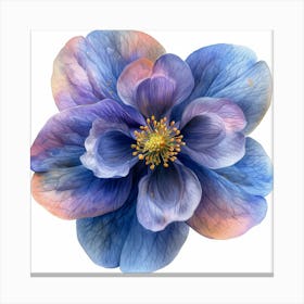 Blue Anemone Flower 2 Stampe su tela