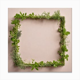 Frame Of Herbs 28 Canvas Print