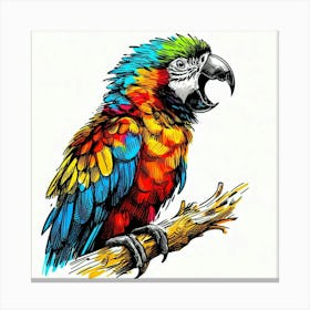 Parrot 4 Canvas Print