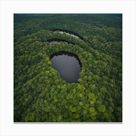 Pond In The Forest 1 Canvas Print