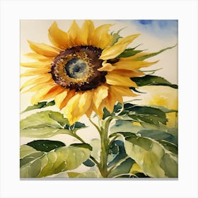 Sunflower Canvas Print