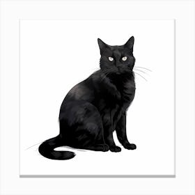 Black Cat 5 Canvas Print