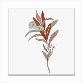 Lily Of The Valley Canvas Print