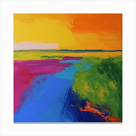 Colourful Abstract Everglades National Park Usa 2 Canvas Print