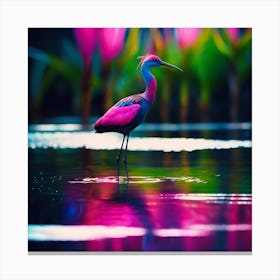 Blue and Pink Bird of the Tropical Lagoon Canvas Print