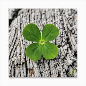 Four Leaf Clover Canvas Print