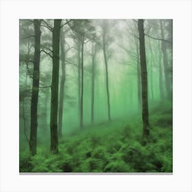 Misty Forest 2 Canvas Print