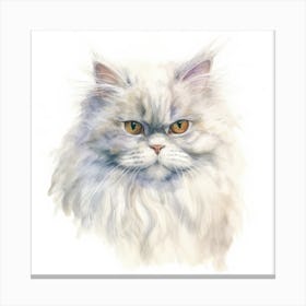 Selkirk Rex Longhair Cat Portrait 1 Canvas Print