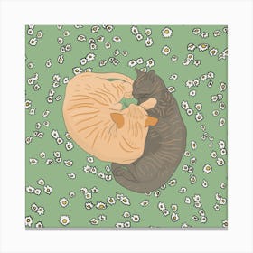 Beautiful cats chilling on a bed of white flowers - into the garden Canvas Print