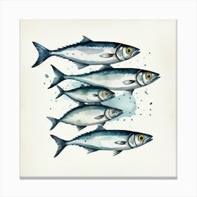 Sardines 1 Canvas Print