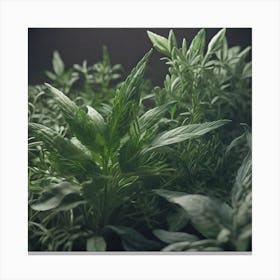Herbs As A Background Haze Ultra Detailed Film Photography Light Leaks Larry Bud Melman Trendi Canvas Print