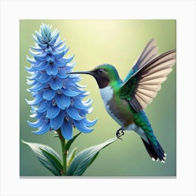 Hummingbird Around Blue Flower 2 Canvas Print