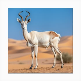 Antelope In The Desert Canvas Print
