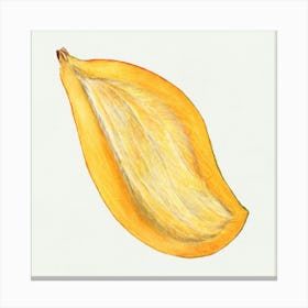 Ripe Papaya Canvas Print