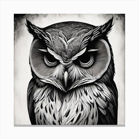 Owl angry 1 Canvas Print