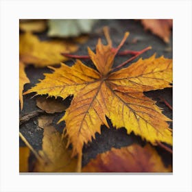 Autumn Leaves 4 Canvas Print