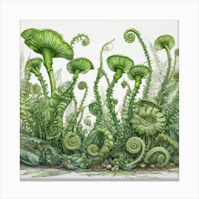 Ferns 5 Canvas Print