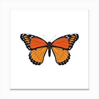 Orange Monarch Butterfly Square Canvas Print