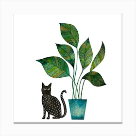 Black Cat And House Plant Canvas Print