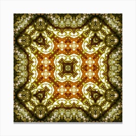 Kaleidoscope 2 Canvas Print