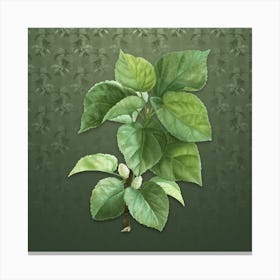 Vintage White Mulberry Plant Botanical on Lunar Green Pattern n.0108 Canvas Print