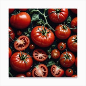 Tomatoes On Black Background 1 Canvas Print