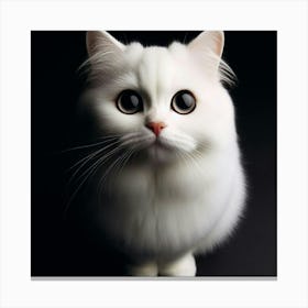 White Cat With Big Eyes Canvas Print