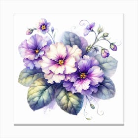 Flowers of Saintpaulia 4 Canvas Print