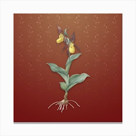 Vintage Lady's Slipper Orchid Botanical on Falu Red Pattern n.0029 Canvas Print