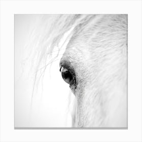 Horse Eye Canvas Print