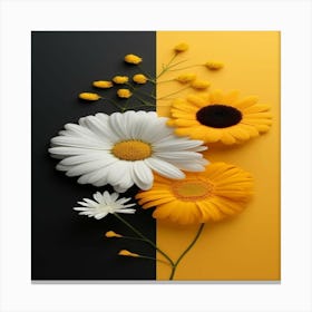 Daisies Canvas Print