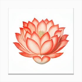 Lotus Flower 82 Canvas Print