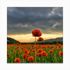 Field Of Poppies 2 Canvas Print