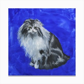 Blue Cat Square Canvas Print
