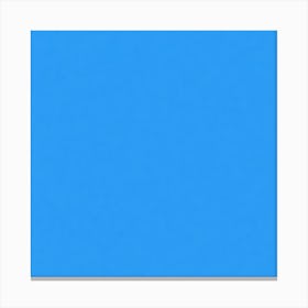 Blue Sky Canvas Print