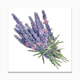 Lavender Flower Canvas Print