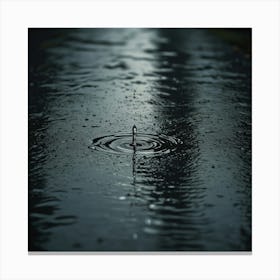 Raindrops On A Puddle Canvas Print