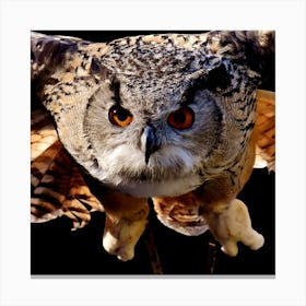 Eagle Owl Canvas Print