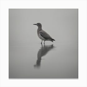 Sandpiper Canvas Print