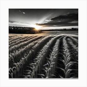 Sunset Over A Wheat Field 13 Canvas Print