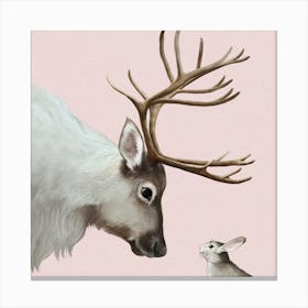 Rabbit And Reindeer Canvas Print