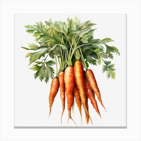 Carrots 4 Canvas Print