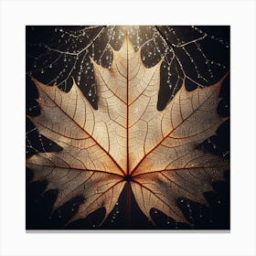 Maple Leaf 1 Canvas Print