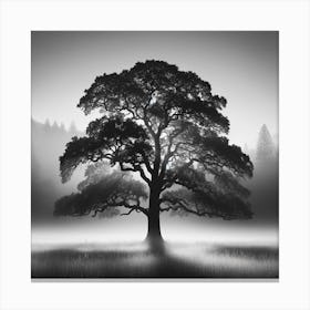 Tree In The Fog Canvas Print
