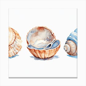 Watercolor Seashells Canvas Print