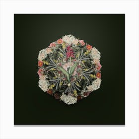 Vintage Lachenalia Pendula Flower Wreath on Olive Green n.0838 Canvas Print