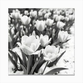 Tulips In The Snow 7 Toile