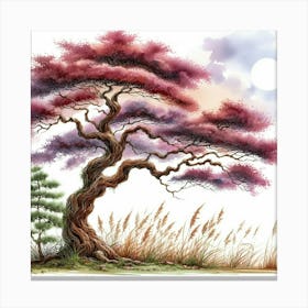 Japanese Cherry Tree Canvas Print