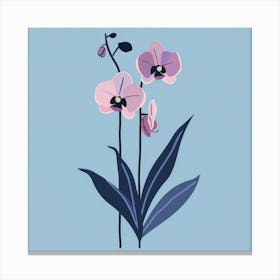 Orchids 2 Canvas Print